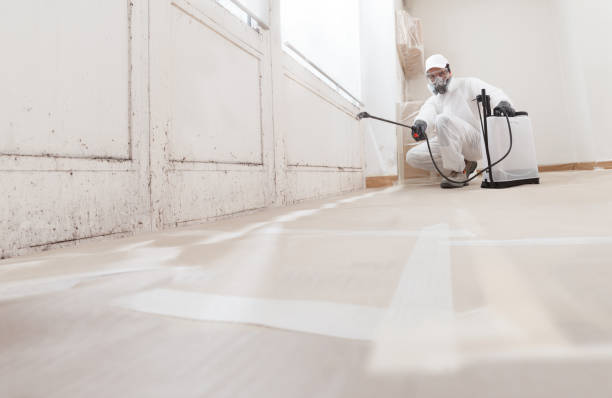 24/7 Emergency Crawl Space Mold Removal experts in Quincy, WA