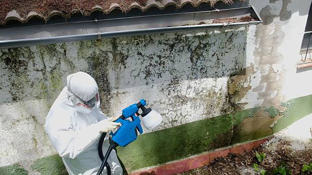 Trusted Mold Inspection service in Quincy, WA - Cheap Mold Removal